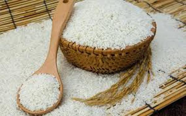 gạo lài sữa