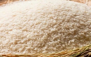 gạo thần tài 79